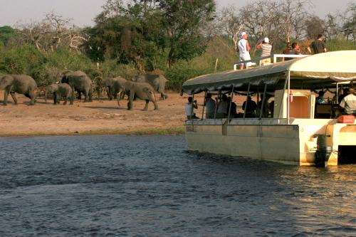 Chobe SL (7)